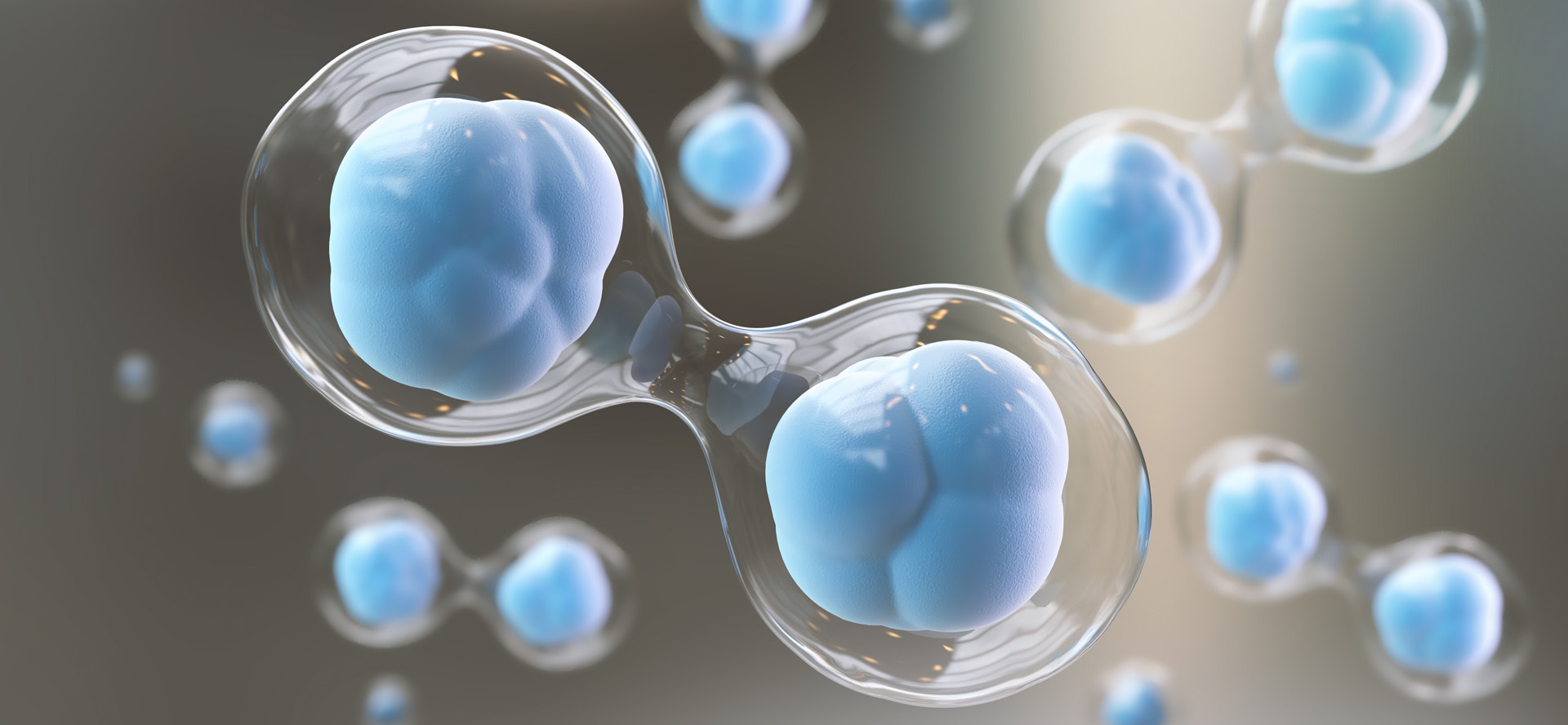 stem cells2.jpg