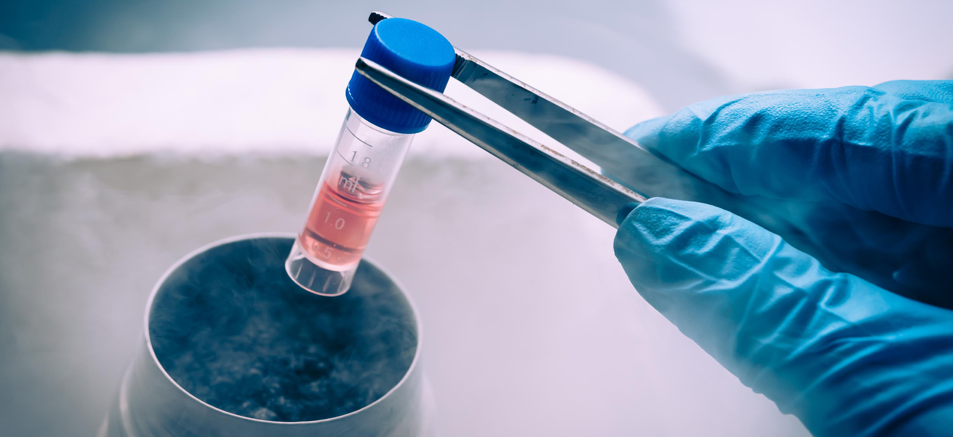 stem cells.jpg
