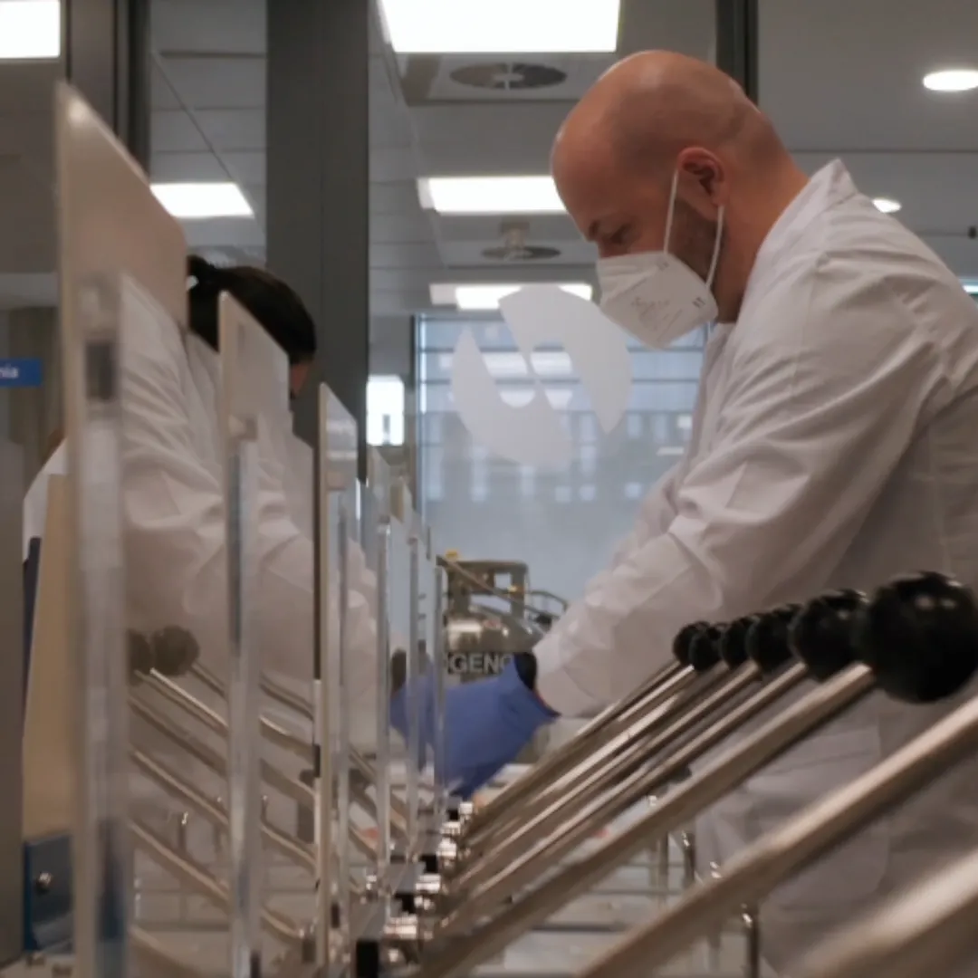 lab