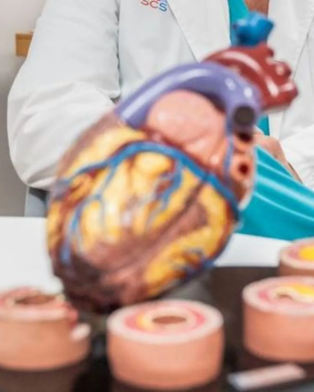 Innovador parche de células madre para corazones dañados