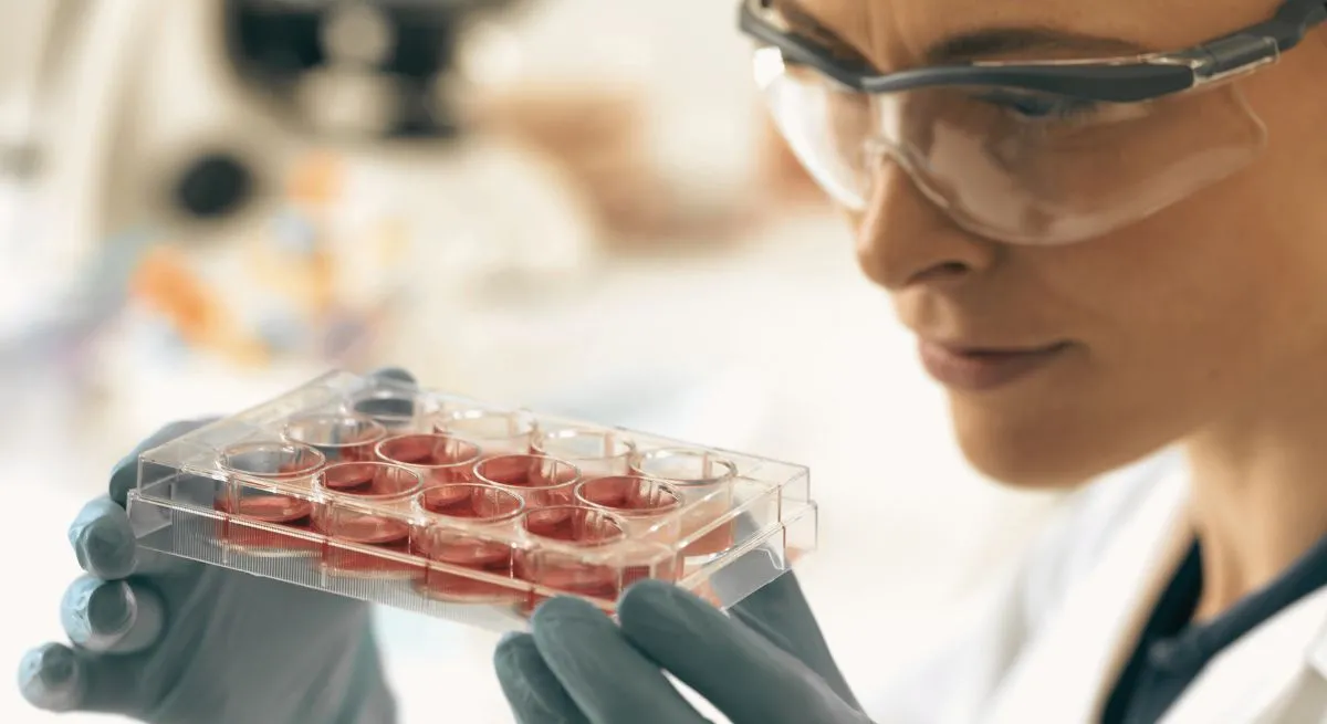 La sangre de cordón umbilical en trasplantes: nuevas evidencias en su aplicación clínica